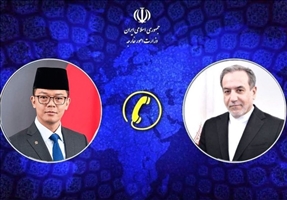 تاکید عراقچی بر تحرک کشورهای اسلامی برای توقف جنایات اسرائیل